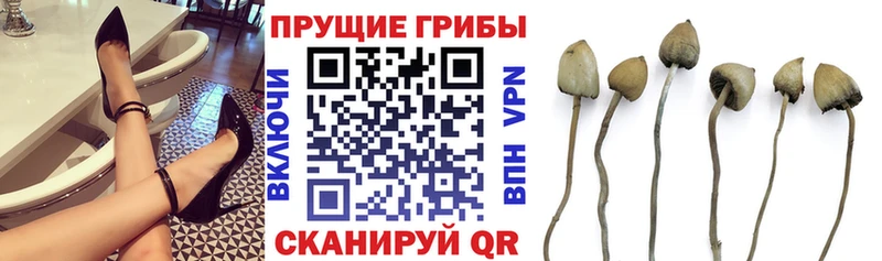 площадка Telegram  Вышний Волочёк  Галлюциногенные грибы Magic Shrooms  KRAKEN ССЫЛКА 